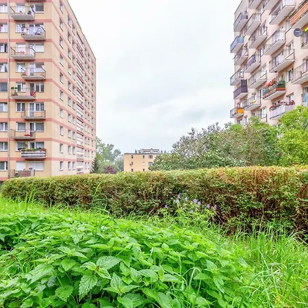 Kraszewskiego Apartament
